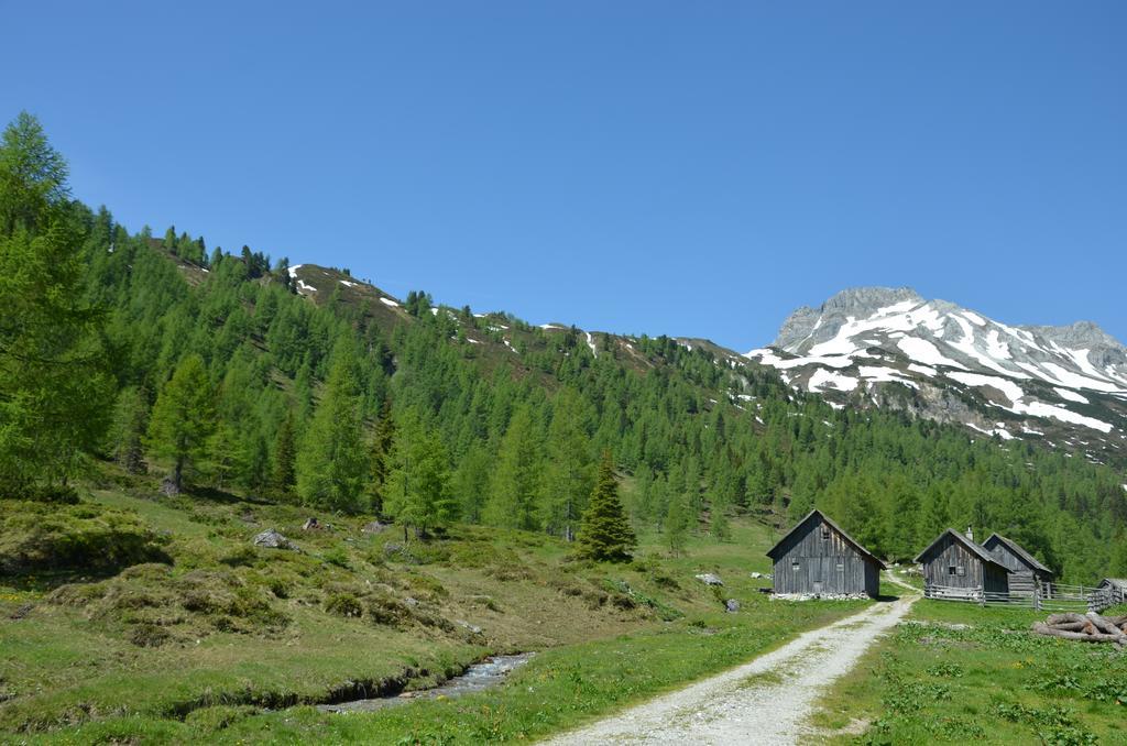 Urlaub Am Kraeutlhof In Mariapfarr Daire Oda fotoğraf